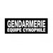 BANDEAU GENDARMERIE - Patrol Equipement - Blanc Gendarmerie Equipe Cynophile 3 X 10 cm - 3662950092367 - 8