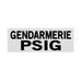 BANDEAU GENDARMERIE - Patrol Equipement - Blanc Gendarmerie PSIG 3 X 10 cm - 3662950092404 - 2