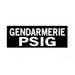 BANDEAU GENDARMERIE - Patrol Equipement - Noir Gendarmerie PSIG 3 X 10 cm - 3662950091964 - 11